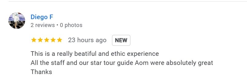 pon elephpant chiangmai thailand reviews
